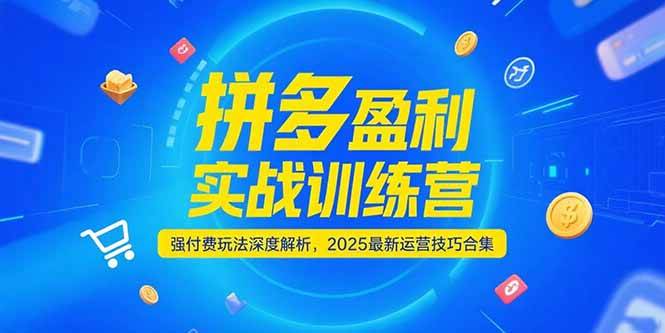 （15183期）拼多多盈利实战训练营，强付费玩法深度解析，2025最新运营技巧合集-赚客网赚