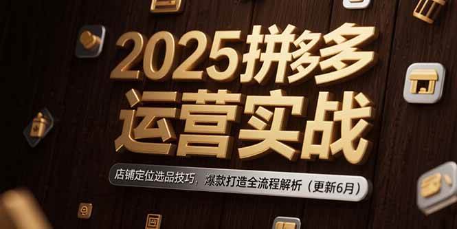 （15235期）2025拼多多运营实战：店铺定位选品技巧，爆款打造全流程解析（更新6月）-赚客网赚