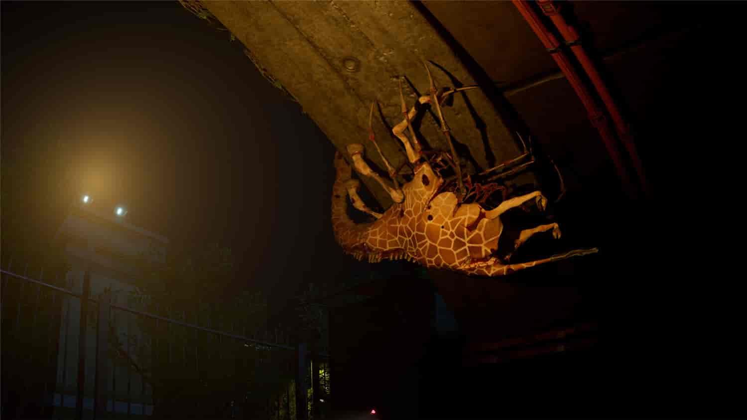 《癫狂动物园》v1.6.5中文版-赚客网赚