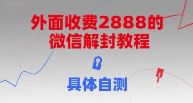 （15301期）外面收费2888的微信解封教程，具体自测-赚客网赚
