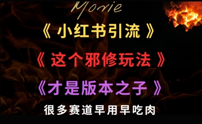 最近小红书引流这个邪修玩法才是版本之子，很多赛道早用早吃肉-赚客网赚