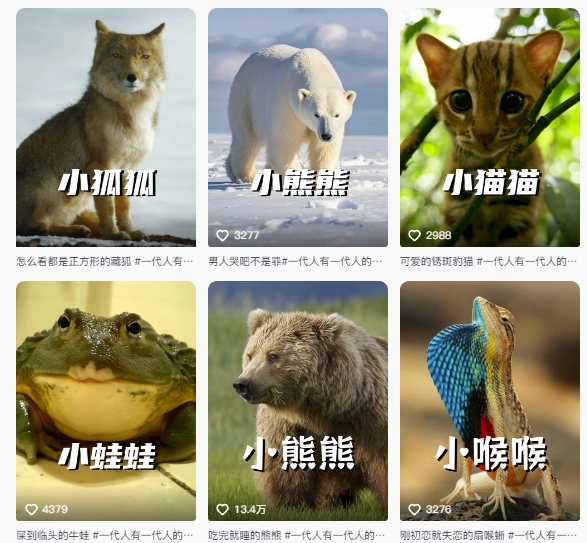 最新搞笑动物百科详细解说课程，蓝海赛道，流量非常大，轻松签独家进精选-赚客网赚