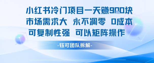 小红书冷门项目一天收益9张，市场需求大，0成本，可复制性强可以矩阵操作-赚客网赚