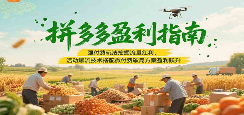 拼多多盈利指南：强付费玩法挖掘流量红利，活动爆流技术搭配微付费方案实现盈利跃升-赚客网赚