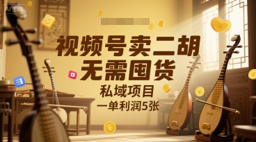 视频号卖二胡，无需囤货，私域项目，一单利润5张-赚客网赚