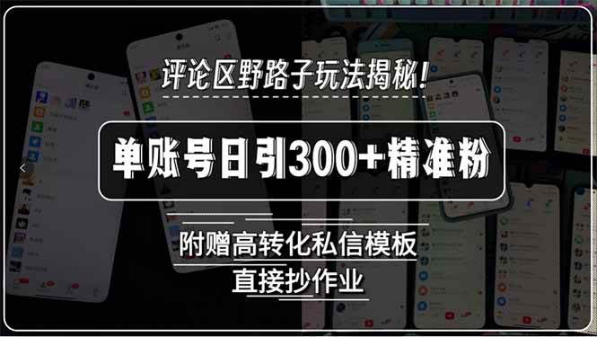 （15466期）评论区野路子玩法揭秘！单账号日引300+精准粉，附赠高转化私信模板，直…-赚客网赚