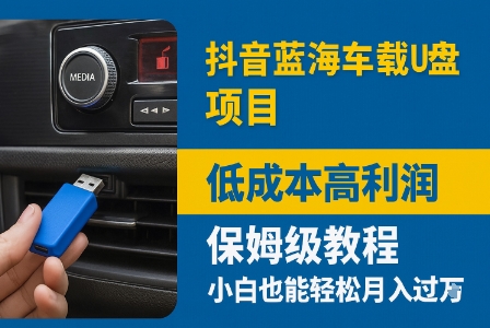 抖音蓝海车载U盘项目，低成本高利润保姆级教程，小白也能轻松月入过W-赚客网赚