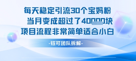每天稳定引流30个人 当月变成超过了4个W项目流程非常简单适合小白-赚客网赚