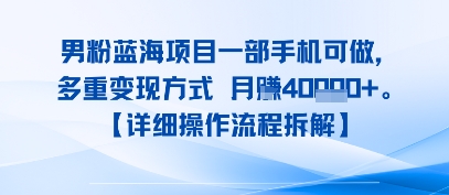8月新男粉蓝海项目一部手机可做，多重变现方式 月入4W+【详细操作流程拆解】-赚客网赚