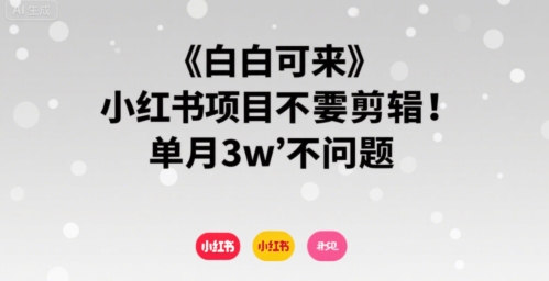小白可来 小红书项目不需要剪辑 单月3w不是问题-赚客网赚