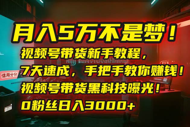 （15595期）月入5万不是梦！视频号带货新手教程，7天速成，手把手教你赚钱！视频号…-赚客网赚