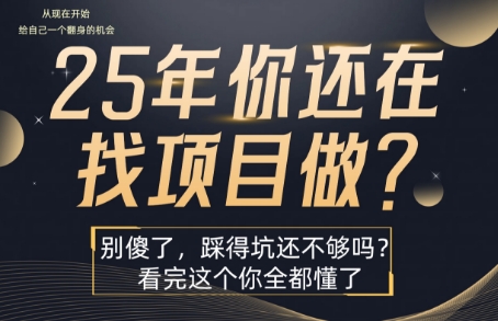 25年，你还在疯狂的找项目吗？别傻了，看完这个你都懂了【揭秘】-赚客网赚