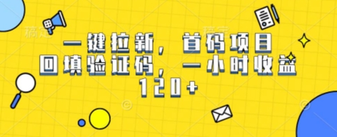 一键拉新，首码项目，回填验证码，一小时收益1张-赚客网赚