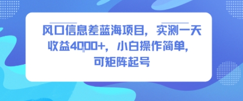 风口信息差蓝海项目,实测一天收益4k+,小白操作简单,可矩阵起号-赚客网赚