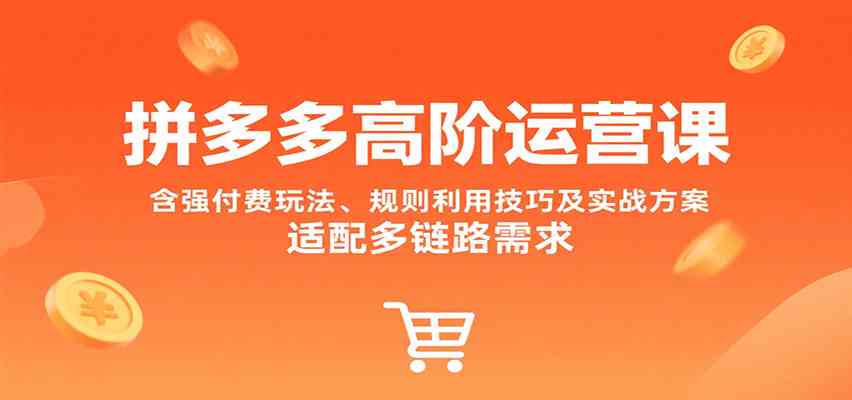 拼多多高阶运营课，含强付费玩法、规则利用技巧及实战方案，适配多链路需求-赚客网赚