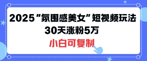 不露脸也能火！2025“氛围感美女”短视频玩法，30天涨粉5W小白可复制-赚客网赚