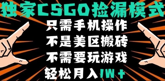 CSGO自动捡漏项目,最新独家玩法,不是美区搬砖,不需要了解和玩游戏,新手小白轻松月入1W+【揭秘】-赚客网赚