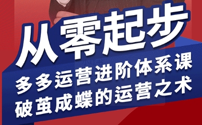 拼多多运营进阶系统课,从零起步,多多运营进阶体系课,破茧成蝶的运营之术-赚客网赚