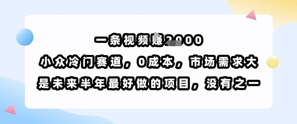 一条视频挣1k，小众冷门赛道，0成本，市场需求大，是未来半年最好做的项目，没有之一-赚客网赚