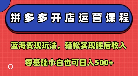 拼多多开店运营课程：蓝海变现玩法，轻松实现睡后收入，零基础小白也可日入5张-赚客网赚