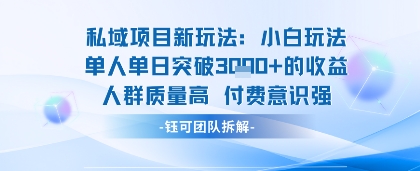 私域项目新玩法小白玩法单人单日突破1k的收益人群质量高付费意识强-赚客网赚