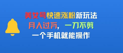 美女号快速涨粉新玩法，月入过W，一刀不剪，一个手机就能操作-赚客网赚