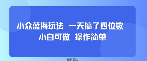 小众蓝海玩法 一天搞了四位数 小白可做 操作简单-赚客网赚