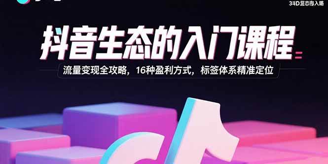 (15856期)抖音生态的入门课程:流量变现全攻略,16种盈利方式,标签体系精准定位-赚客网赚