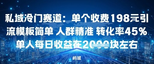 私域冷门赛道：单个收费198米引流模板简单人群精准转化率45%单人每日收益在1k+-赚客网赚