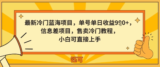 最新冷门蓝海项目，单号单日收益多张，信息差项目，售卖冷门教程，小白可直接上手-赚客网赚