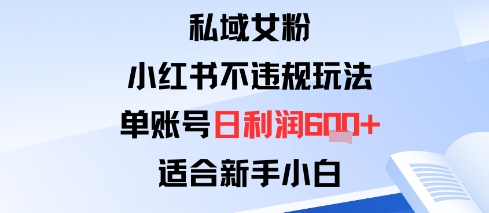 私域女粉：小红书平台不违规玩法单账号日利润6张+适合新手小白-赚客网赚