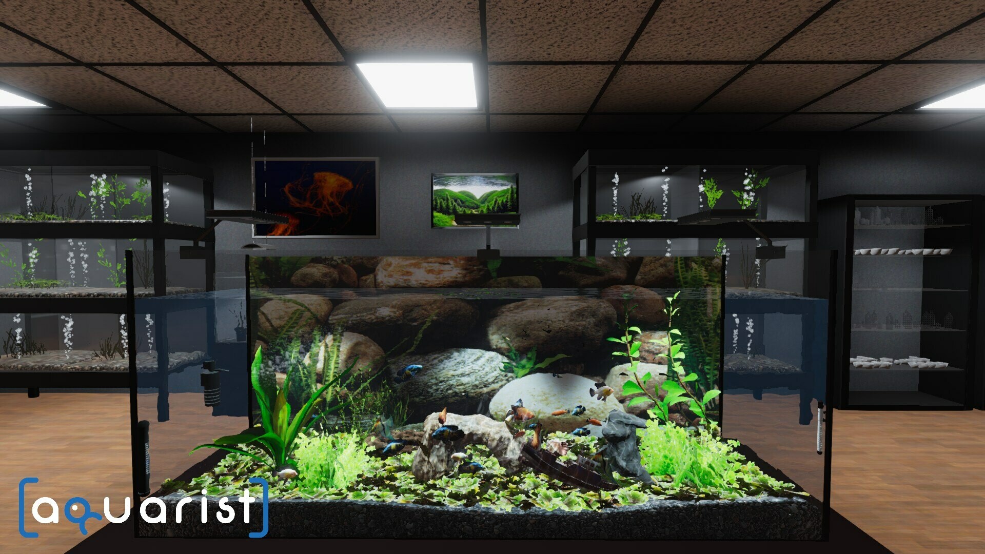 Aquarist – 建造水族馆，养鱼，发展你的事业！-赚客网赚