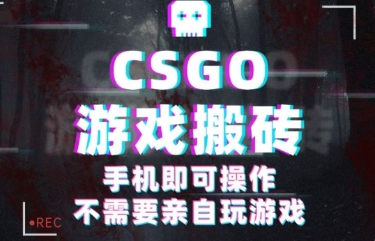 CSGO游戏挂G捡漏，单日扫货5张+，年底小高峰上车可吃肉，手机即可操作，兼职副业创业网创【揭秘】-赚客网赚