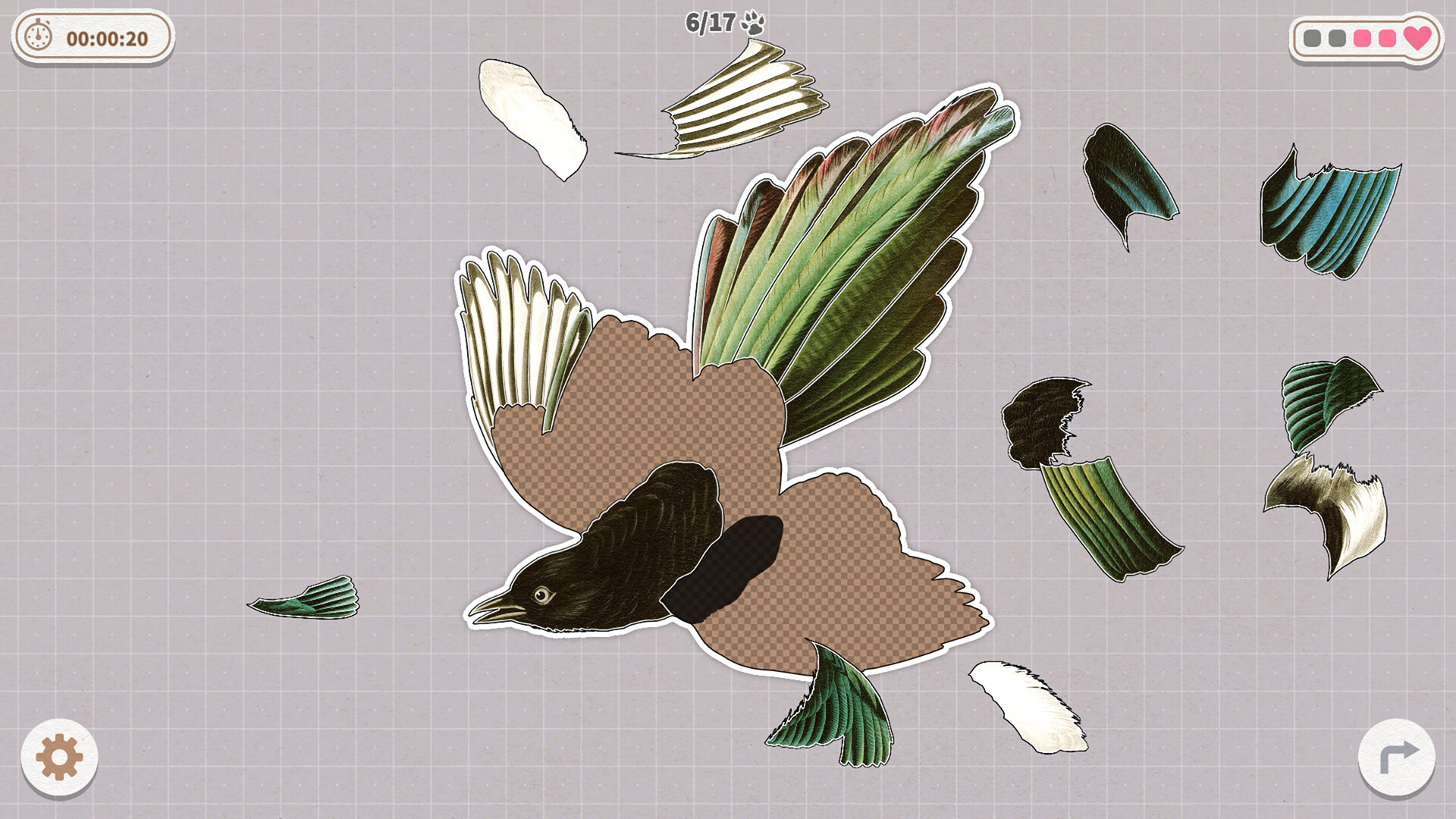 挤在一起的鸟鸟/Birds Huddled Together-赚客网赚