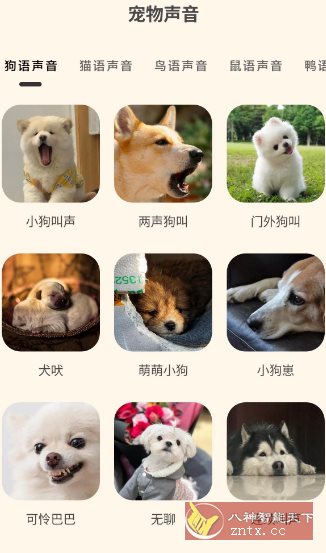 哆啦猫狗翻译器1.2.6高级版-赚客网赚