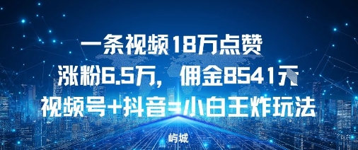一条视频18W点赞涨粉6.5W，佣金8541视频号+抖音=小白王炸玩法-赚客网赚