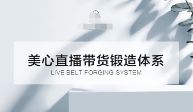 直播带货锻造体系课，5G时代美心一站式帮你开启直播带货之路【音频】-赚客网赚