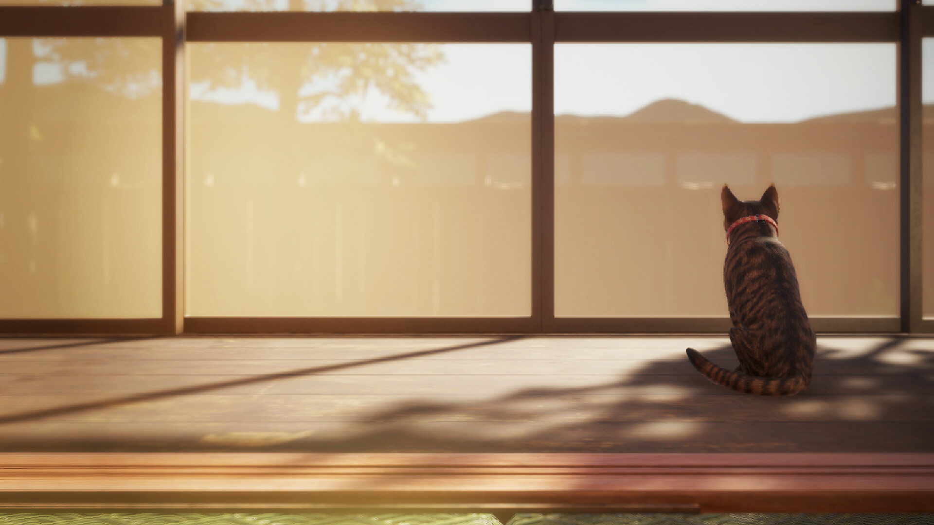 猫还在逃吗？/Still It Runs-赚客网赚