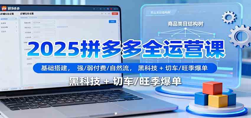 2025拼多多全运营课：基础搭建，强/弱付费/自然流，黑科技 + 切车/旺季爆单-赚客网赚