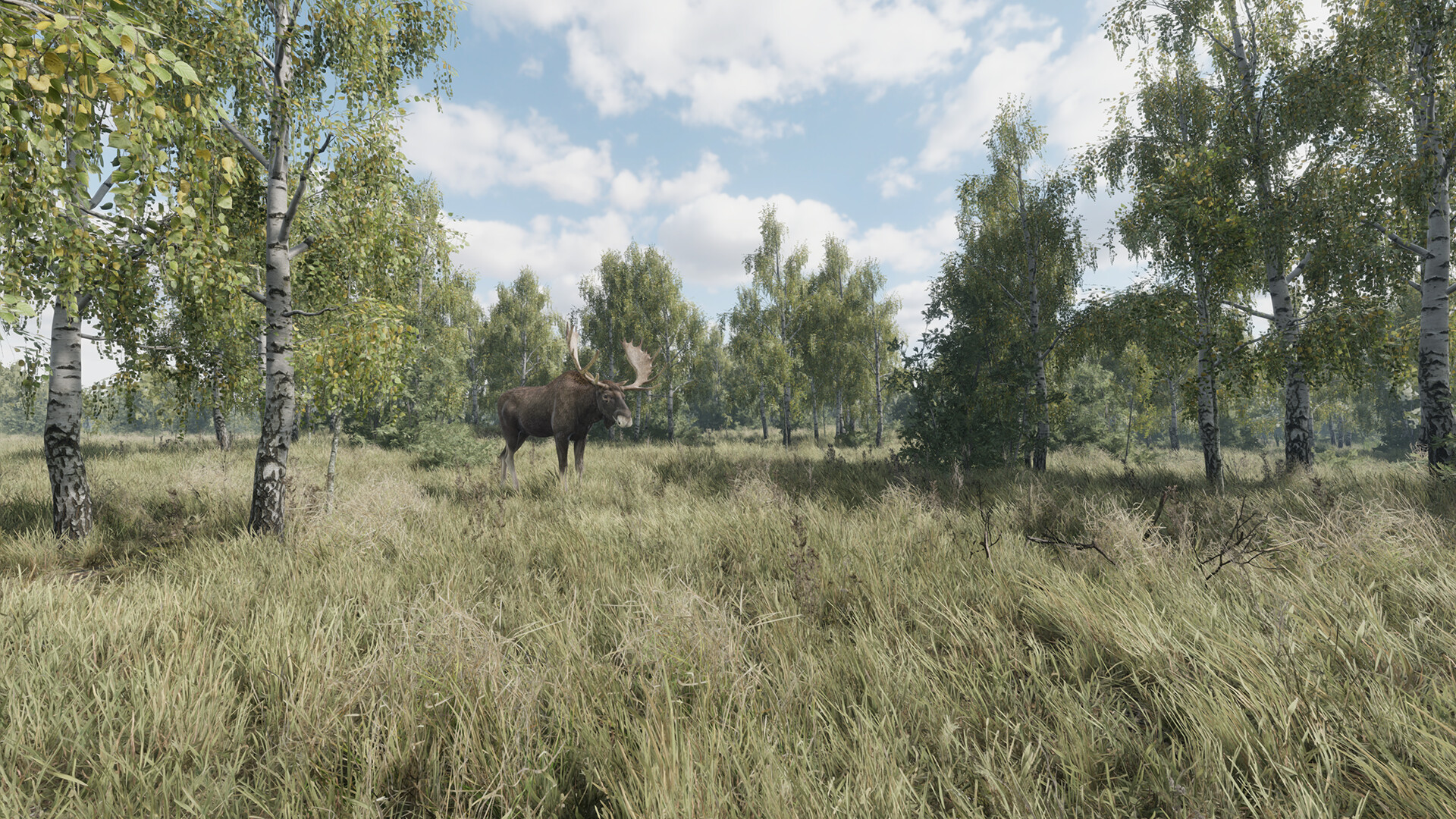 猎捕行动/On the Hunt-赚客网赚