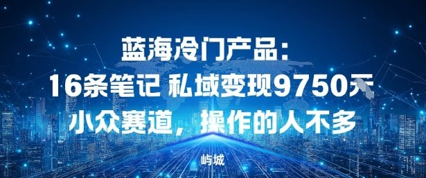 蓝海冷门产品：16条笔记私域变现9750米，小众赛道，操作的人不多-赚客网赚