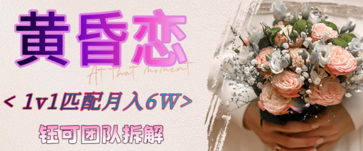 副业拆解：黄昏恋1对1匹配月入6个，潜力巨大-赚客网赚
