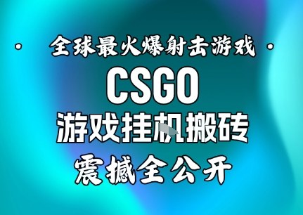 【年底大揭秘】基于全球最火爆的射击CSGO游戏挂G搬砖，日入5张+，震撼公开-赚客网赚