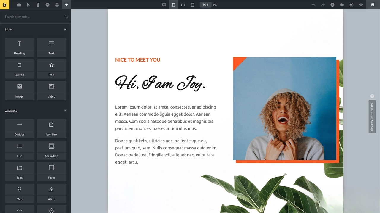 WordPress主题Bricks v1.9 破解版-赚客网赚