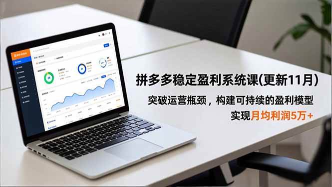 （16641期）拼多多稳定盈利系统课(更新11月)，突破运营瓶颈，构建可持续的盈利模型，实现月均利润5万+-赚客网赚