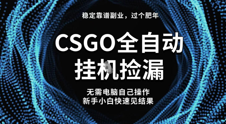 【稳定副业】全球最热门游戏CSGO全自动捡漏，最新玩法，新手小白日入5张+【揭秘】-赚客网赚