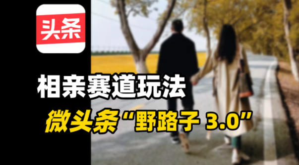 微头条“野路子3.0”相亲赛道玩法，搬砖式操作单号稳定3张-赚客网赚